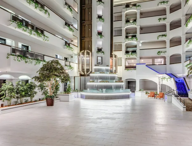 Holiday Inn Hotel & Suites Springfield - I-44 by IHG hotel detail image 3