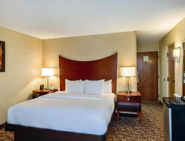 DoubleTree by Hilton Hotel Johnson City hotel detail image 4