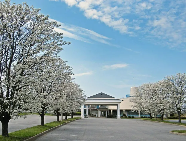 Sunset Beach Resort hotel detail image 2