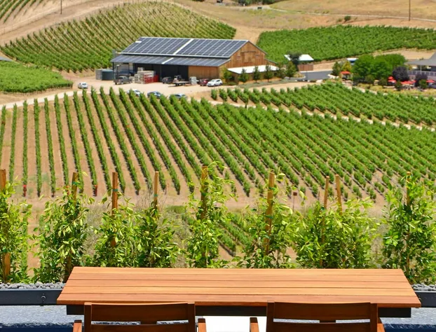 Sirena Vineyard Resort hotel detail image 3