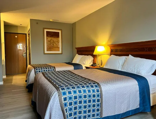 Royal Inn Suites hotel detail image 4