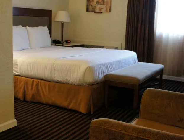 Lexington Inn & Suites NW Chicago Elgin hotel detail image 3