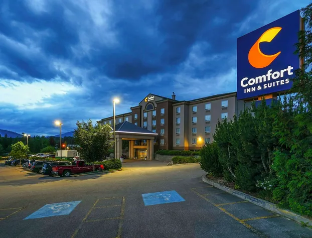 Comfort Inn & Suites hotel detail image 3