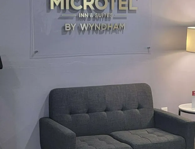 Microtel Inn & Suites by Wyndham Gardendale/Birmingham North hotel detail image 1