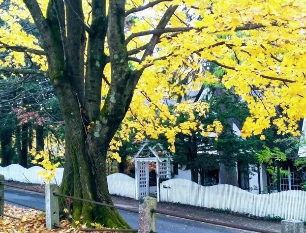 Whistler's Inn Bed & Breakfast hotel detail image 2