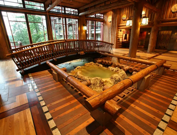 Disney's Wilderness Lodge hotel detail image 4