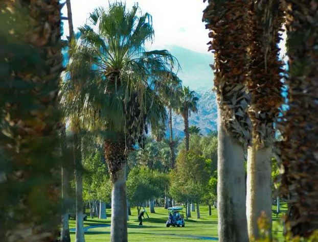 Shadow Mountain Resort hotel detail image 3