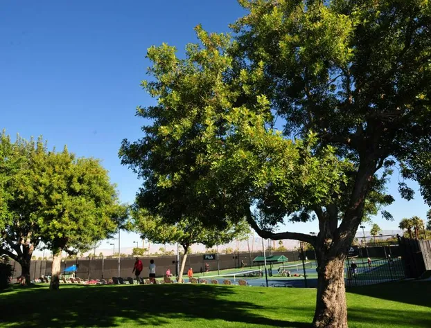 Shadow Mountain Resort hotel detail image 4