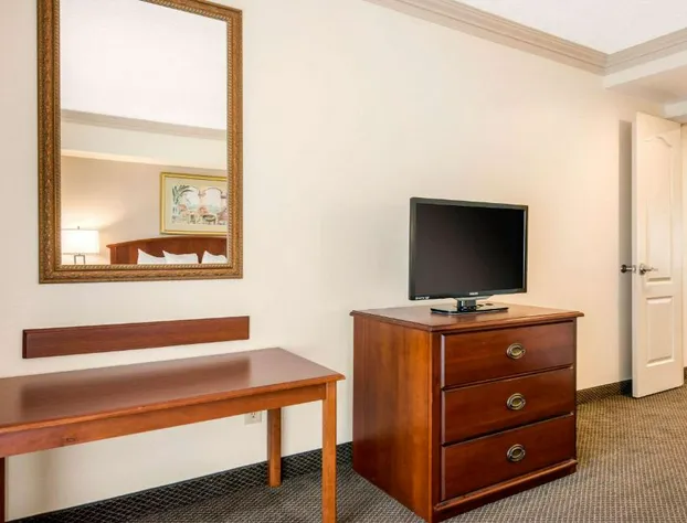 Quality Inn & Suites Tarpon Springs South hotel detail image 3