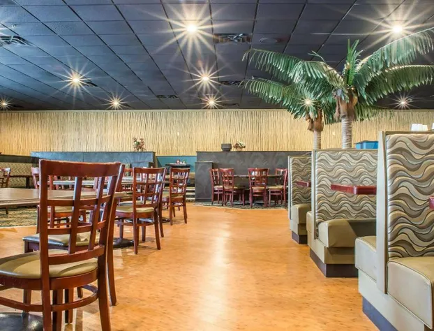 Quality Inn & Suites Palm Island Indoor Waterpark hotel detail image 3