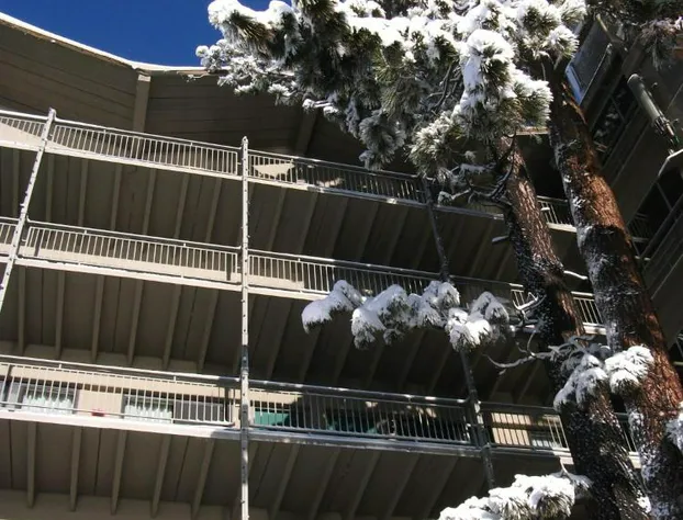 Pepper Tree Inn hotel detail image 1