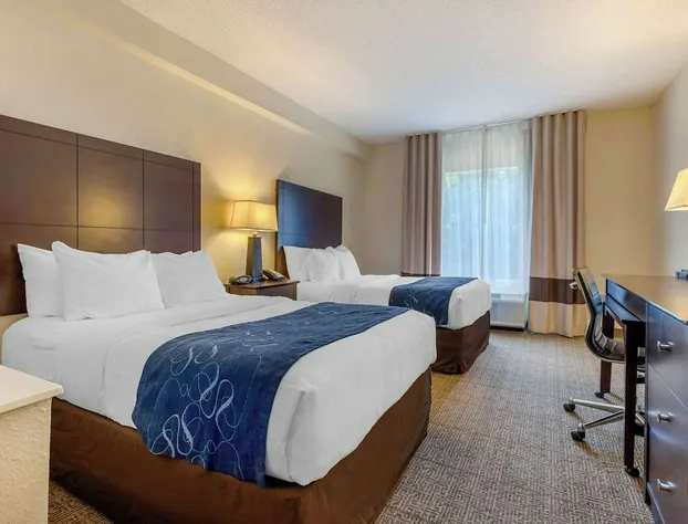 Comfort Suites Gastonia - Charlotte hotel detail image 4