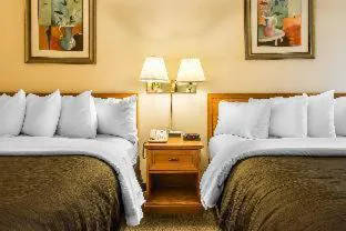 Comfort Inn Ebensburg hotel detail image 1