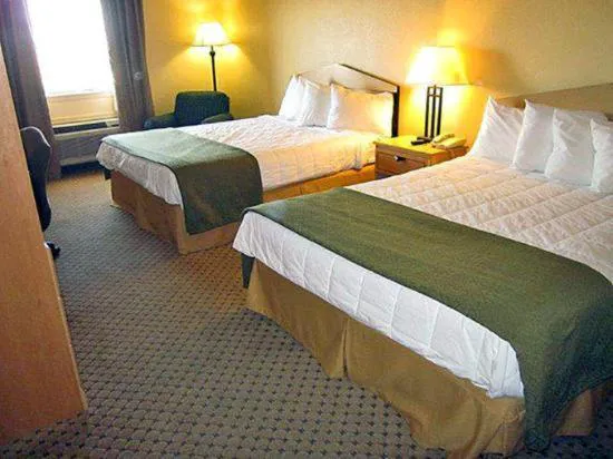 Super 8 by Wyndham Temple I-35 hotel detail image 4