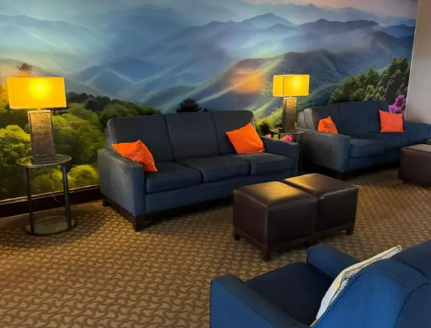 Vista Suites of Pigeon Forge hotel detail image 4