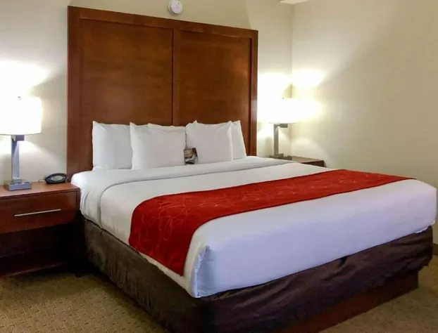 Vista Suites of Pigeon Forge hotel detail image 1