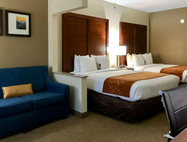 Vista Suites of Pigeon Forge hotel detail image 3