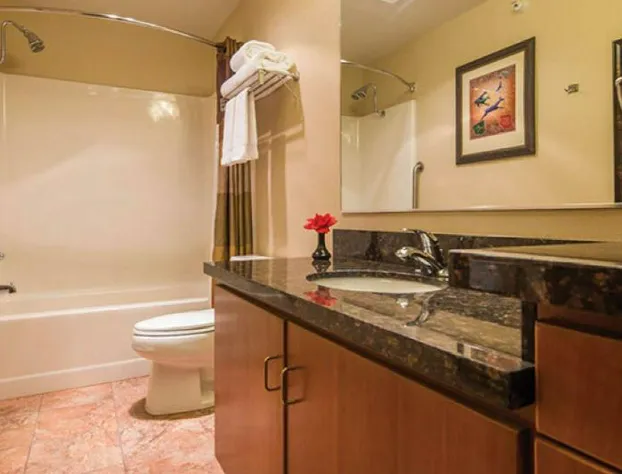 Best Western Plus Deer Park Hotel & Suites hotel detail image 3
