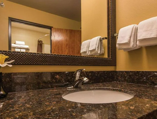 Best Western Plus Deer Park Hotel & Suites hotel detail image 4