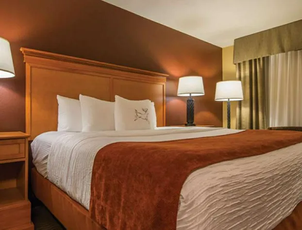 Best Western Plus Deer Park Hotel & Suites hotel detail image 3