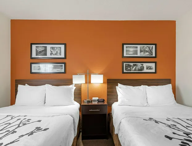 Sleep Inn DeWitt - Lansing North hotel detail image 2