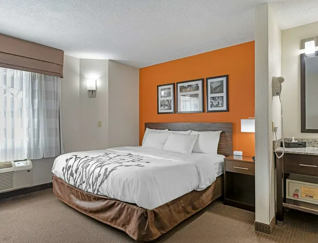 Sleep Inn DeWitt - Lansing North hotel detail image 4