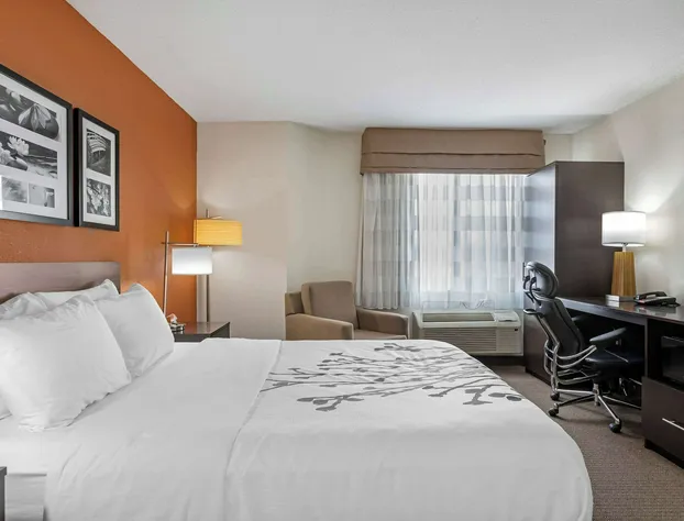 Sleep Inn DeWitt - Lansing North hotel detail image 3