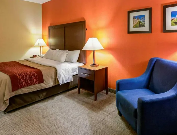 Comfort Inn Lexington I-75 hotel detail image 3