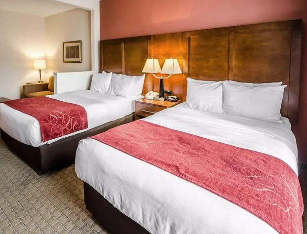 Comfort Suites Prestonsburg West hotel detail image 4