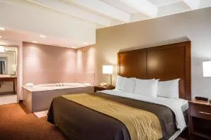 Comfort Inn & Suites Madison - Airport hotel detail image 2