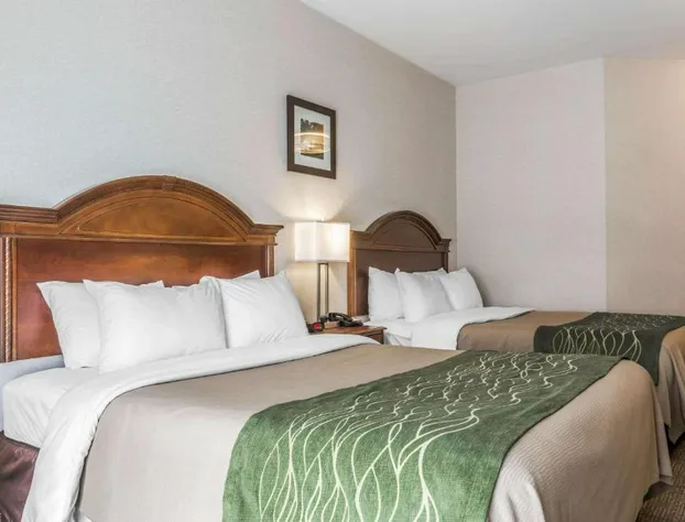 Comfort Inn & Suites South Burlington near University hotel detail image 3