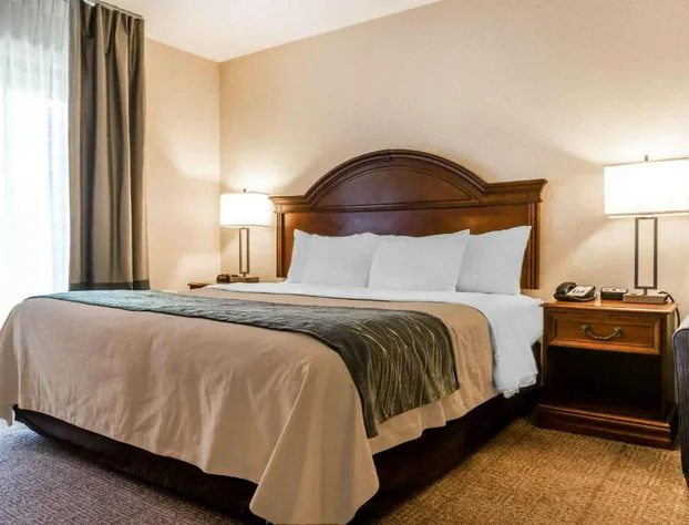 Comfort Inn & Suites South Burlington near University hotel detail image 4