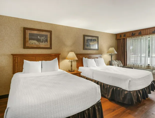 Best Western Plus Kelly Inn & Suites hotel detail image 4