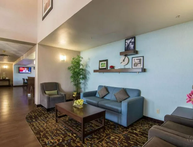 Comfort Inn & Suites Airport South hotel detail image 4