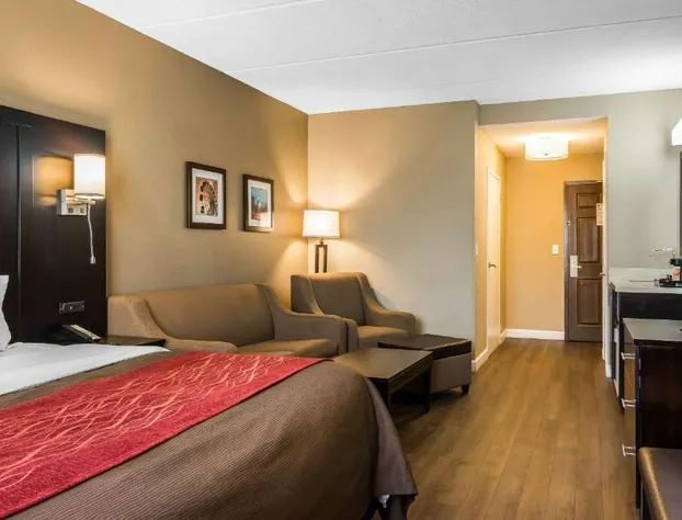 Comfort Inn & Suites near Six Flags hotel detail image 4