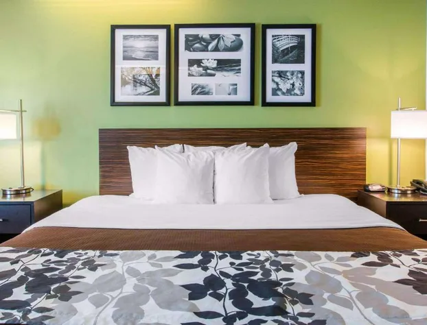 Sleep Inn & Suites Oregon - Toledo hotel detail image 3