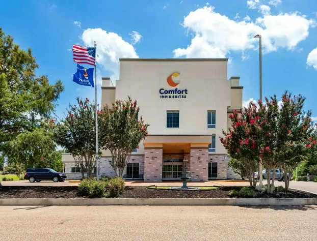 Comfort Inn & Suites Grenada hotel detail image 1