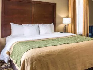 Quality Inn Albertville US 431 hotel detail image 4