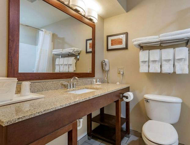 Comfort Inn Amite hotel detail image 4