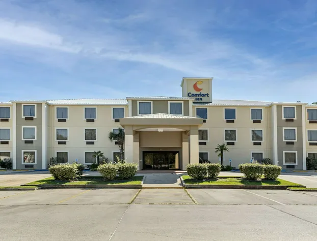 Comfort Inn Amite hotel detail image 1