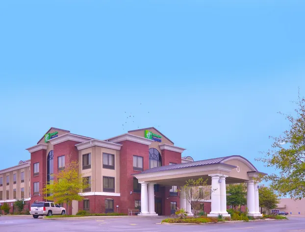 Holiday Inn Express Hotel & Suites Pine Bluff / Pines Mall by IHG hotel detail image 1