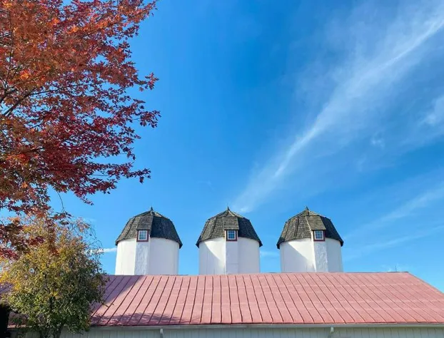 Normandy Farm Hotel and Conference Center hotel detail image 1
