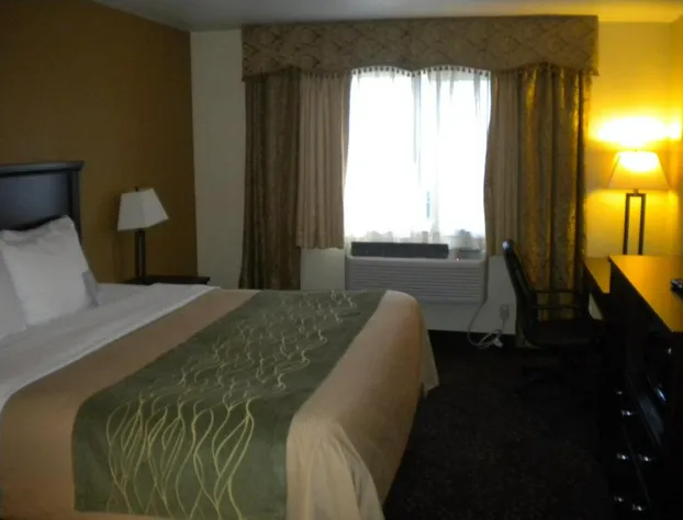 Comfort Inn Federal Way - Seattle hotel detail image 2