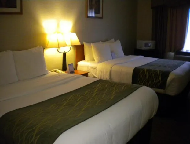 Comfort Inn Federal Way - Seattle hotel detail image 3