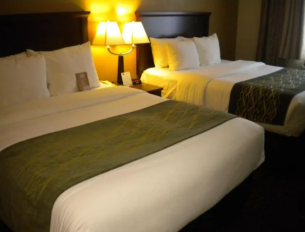 Comfort Inn Federal Way - Seattle hotel detail image 4