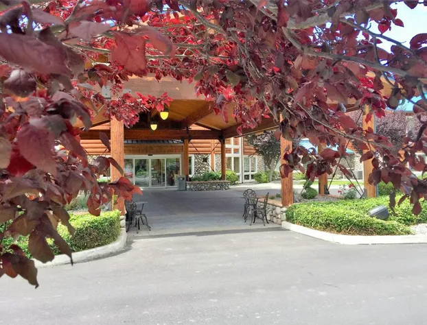 River Lodge And Grill hotel detail image 2