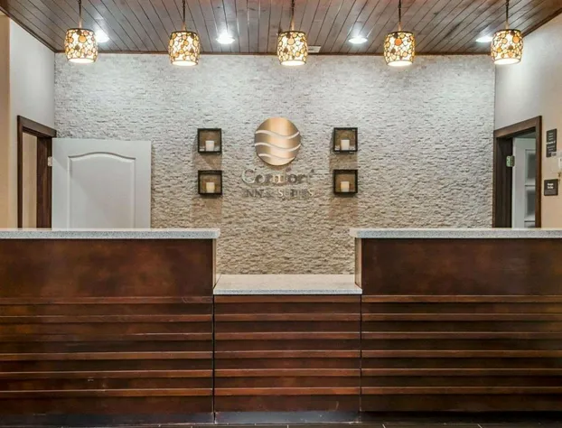 Comfort Inn & Suites Pharr - McAllen hotel detail image 4