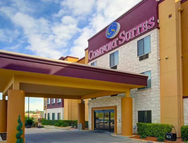 Comfort Suites hotel detail image 1