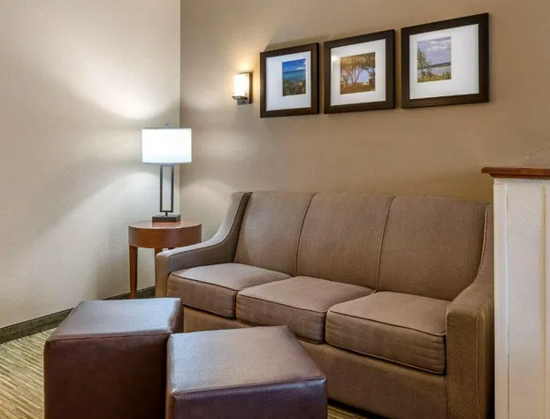 Comfort Suites Elkhart North hotel detail image 4