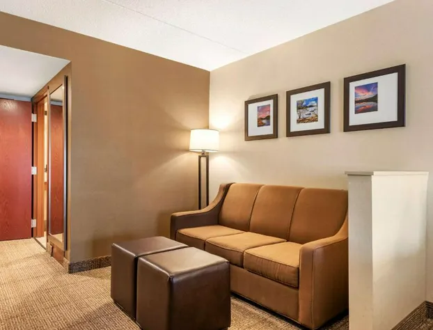 Comfort Inn & Suites hotel detail image 3